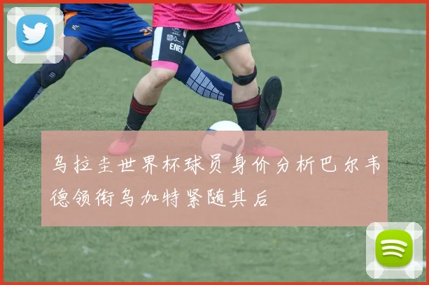 乌拉圭世界杯球员身价分析巴尔韦德领衔乌加特紧随其后